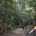 IMGa_3010