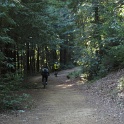 IMGa_3011