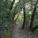 IMGb_2845