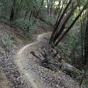 IMGb_2846