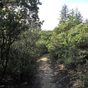 IMGb_2847