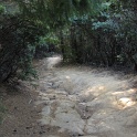 IMGb_2848
