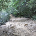 IMGb_2852
