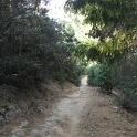 IMGb_2853