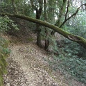 IMGb_2856