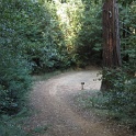 IMGb_2861