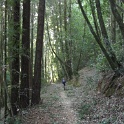 IMGb_2864
