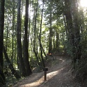 IMGb_2865