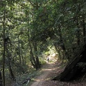 IMGb_2866