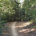 IMGb_2867