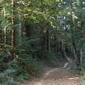 IMGb_2869