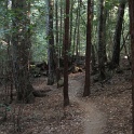 IMGb_2871