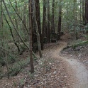 IMGb_2872
