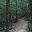 IMGb_2873