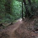 IMGb_2874