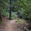 IMGb_2876