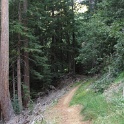 IMGb_2880