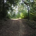 IMGb_2883