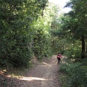 IMGb_2884