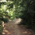 IMGb_2885