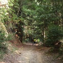 IMGb_2886