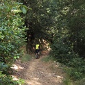 IMGb_2887