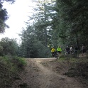 IMGb_2893