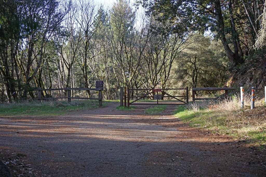 DSC00696
