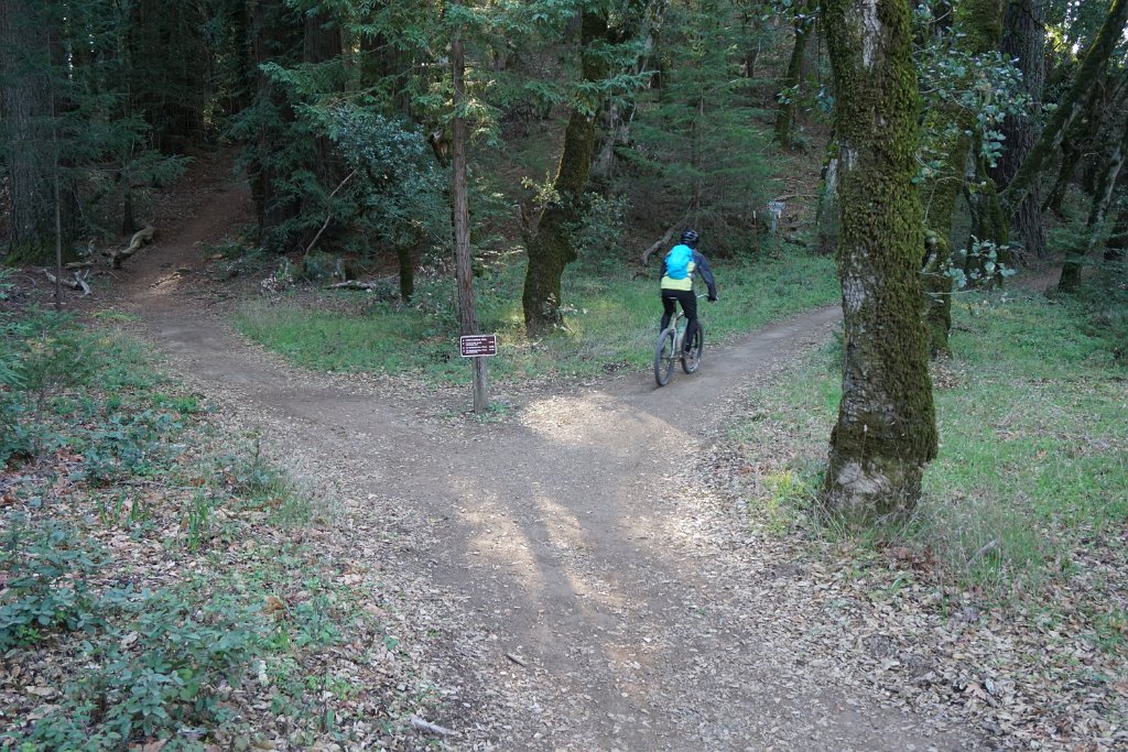 DSC00709