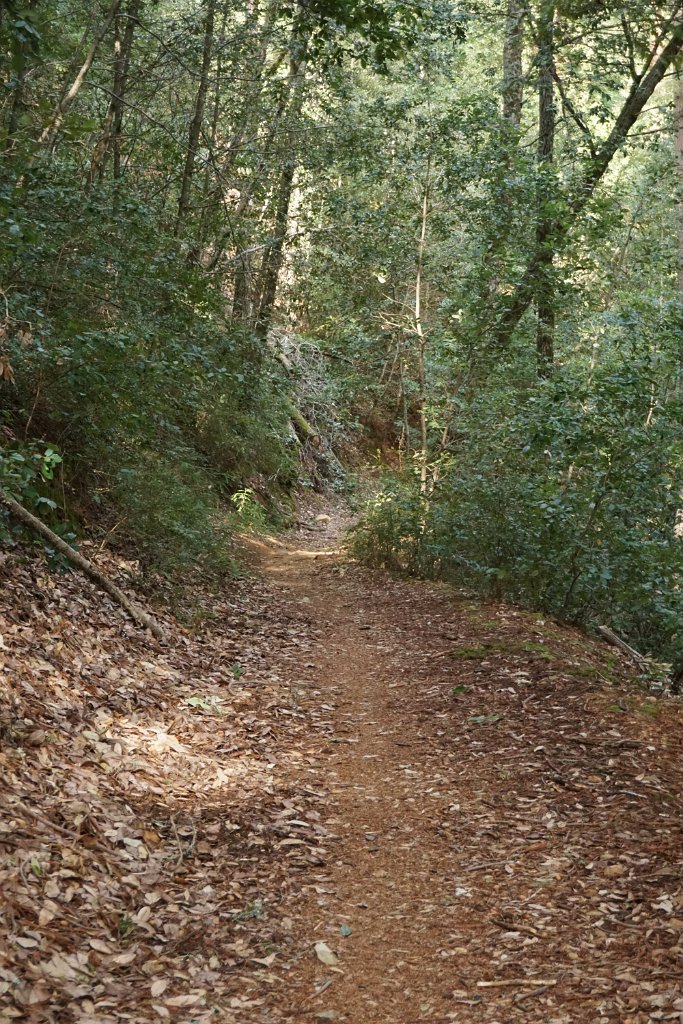 DSC00756