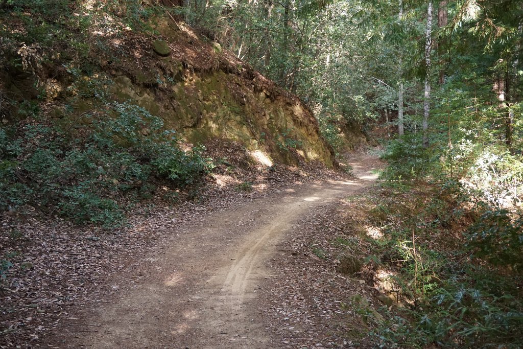 DSC00760