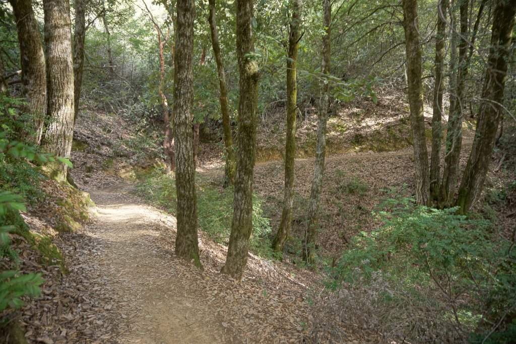 DSC00794