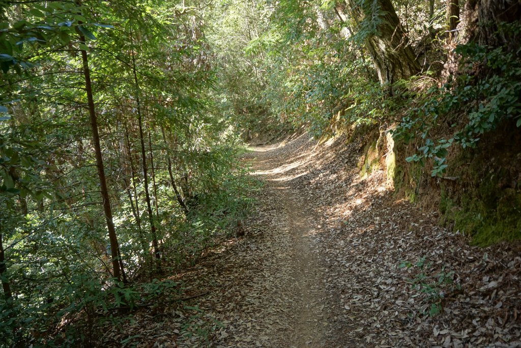 DSC00801