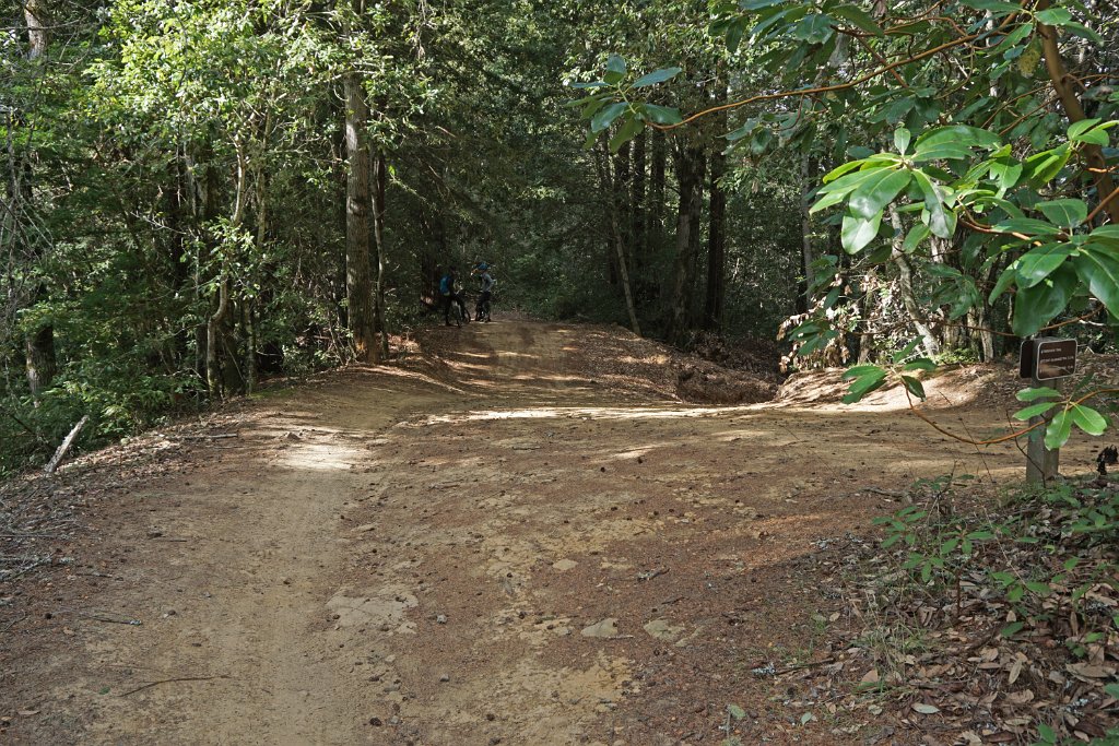 DSC00804