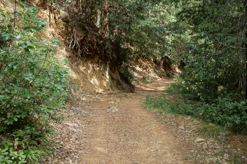 DSC00841
