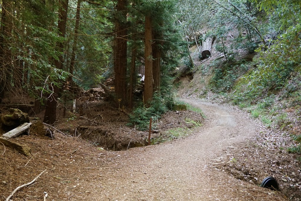 DSC00844