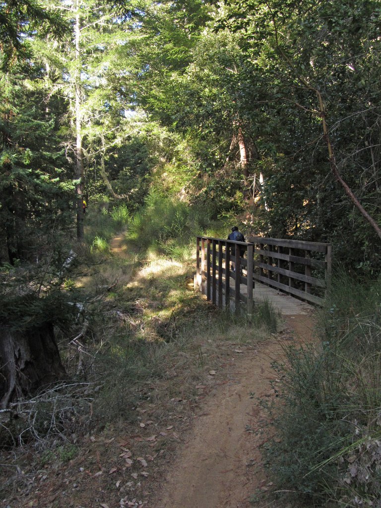 IMG_2879