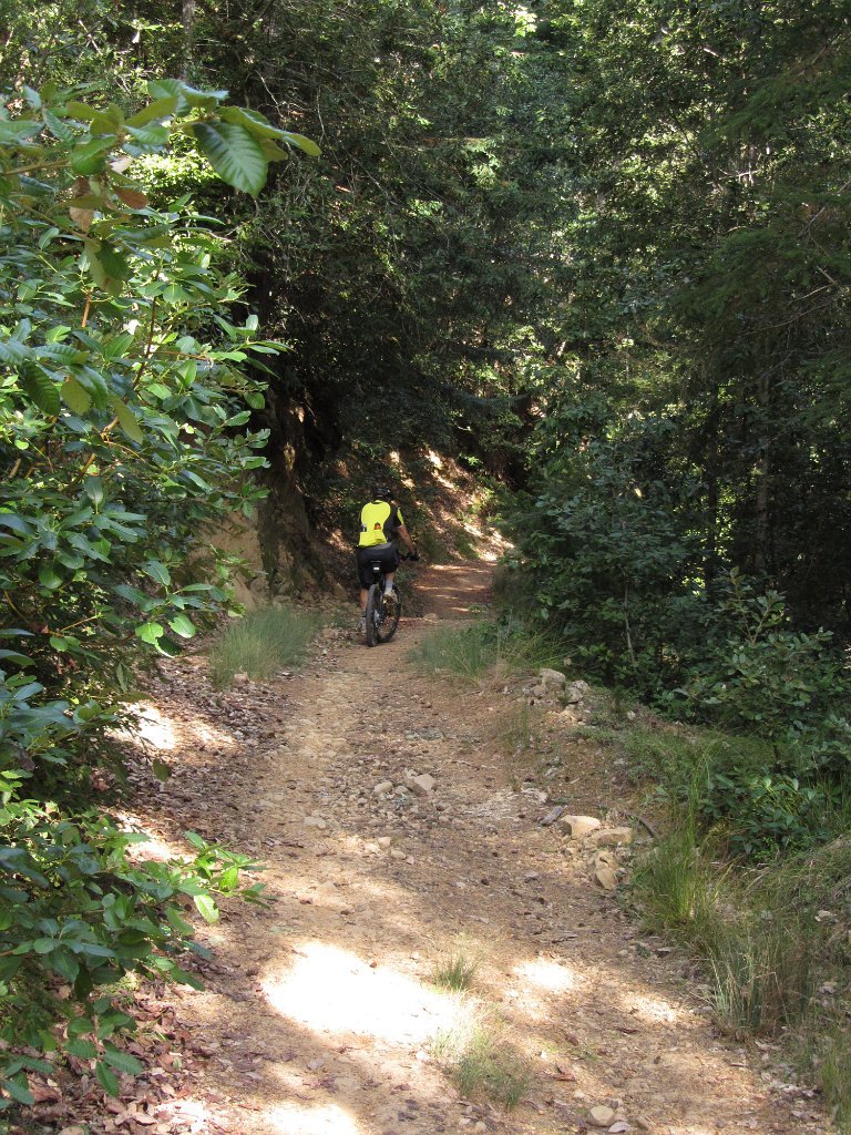 IMG_2887