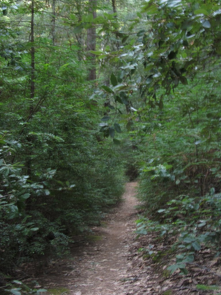 IMG_2928