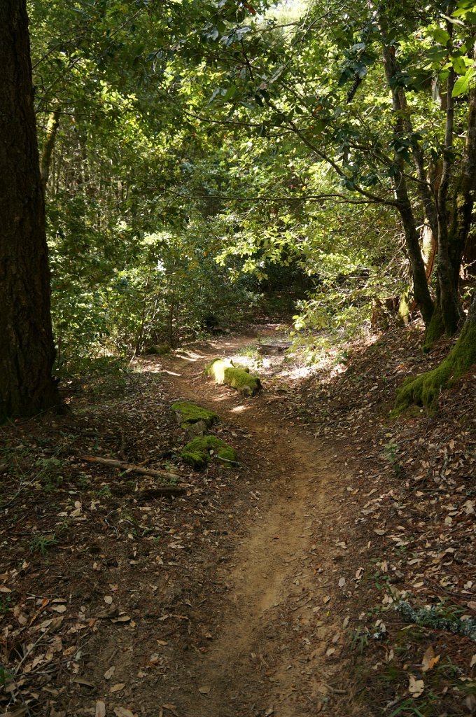 DSC02001