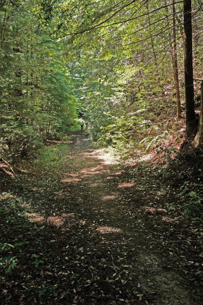DSC02040