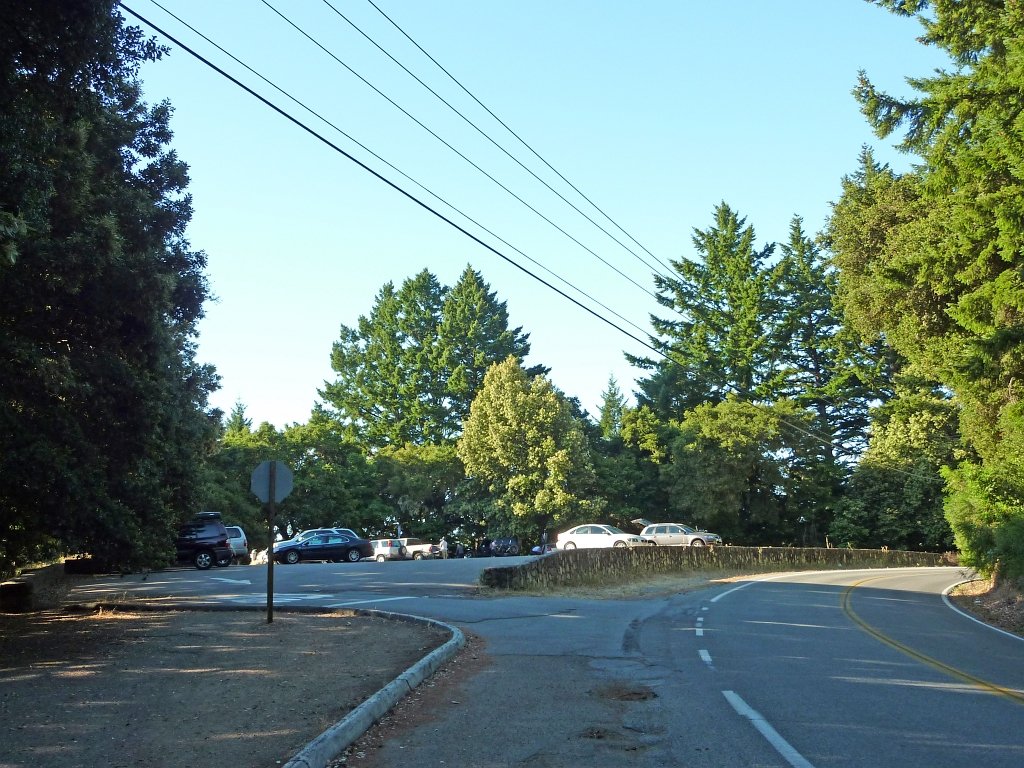 P1020325