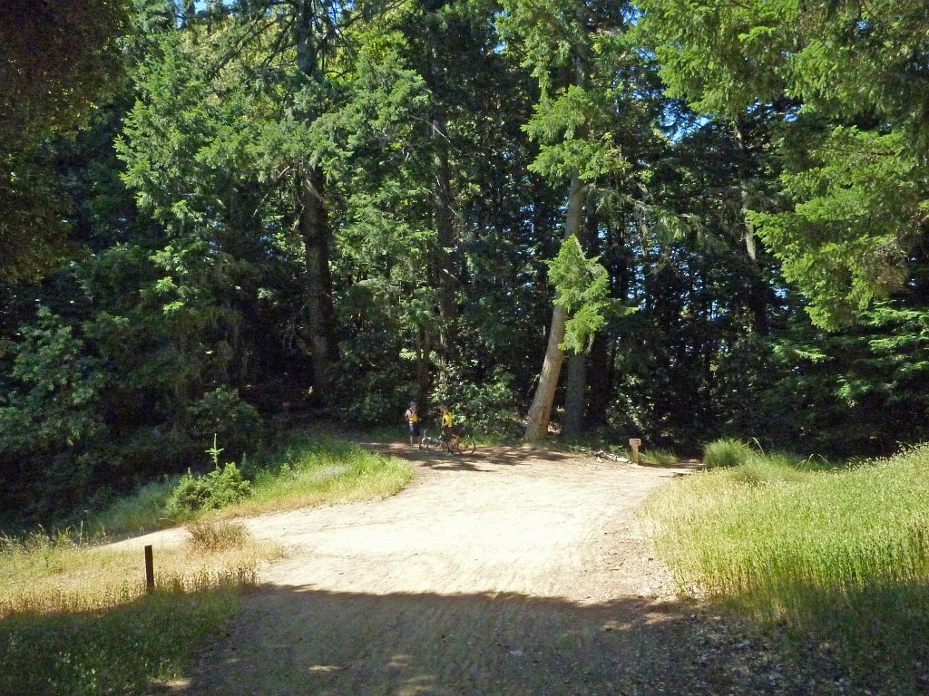 P1020402