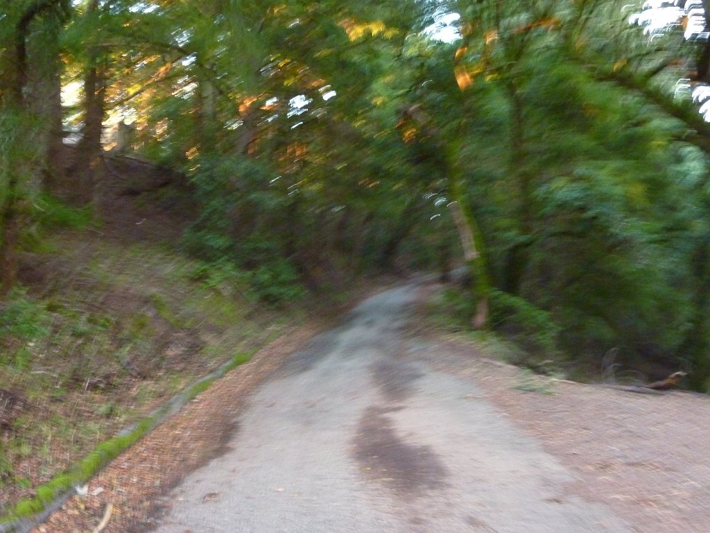 P1040203