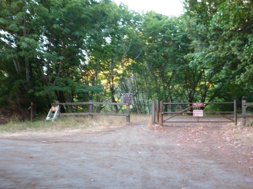 P1040205