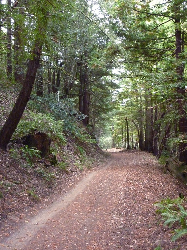 P1040233