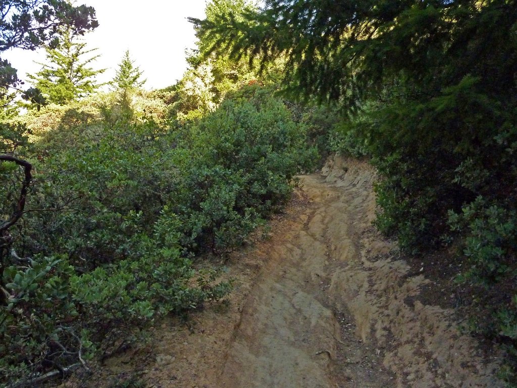 P1040280