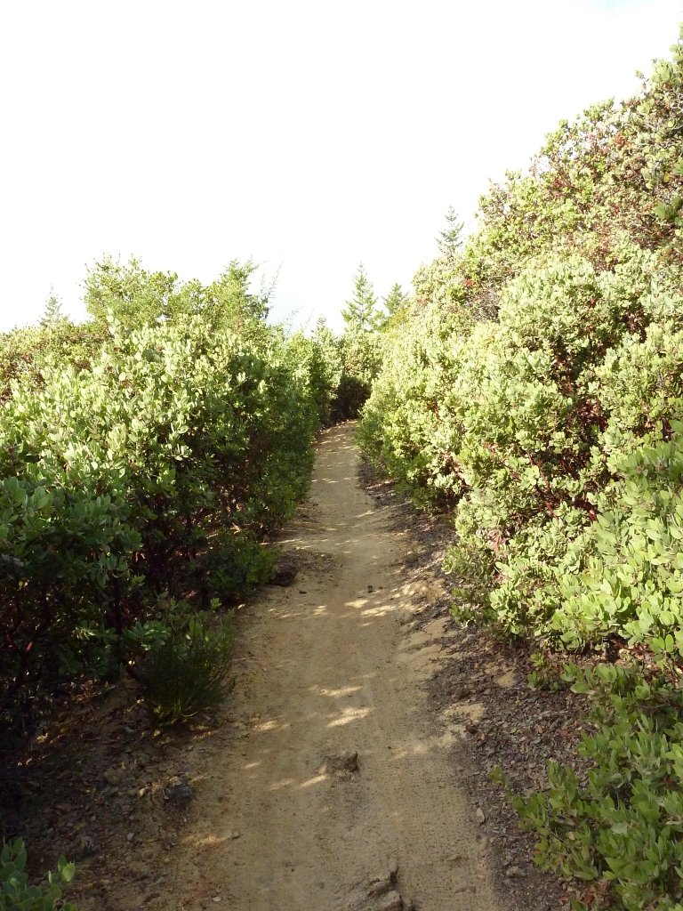 P1040282