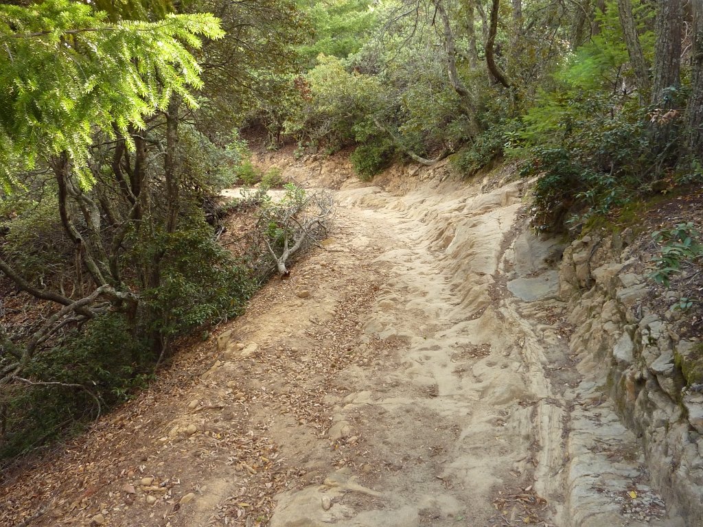 P1040286
