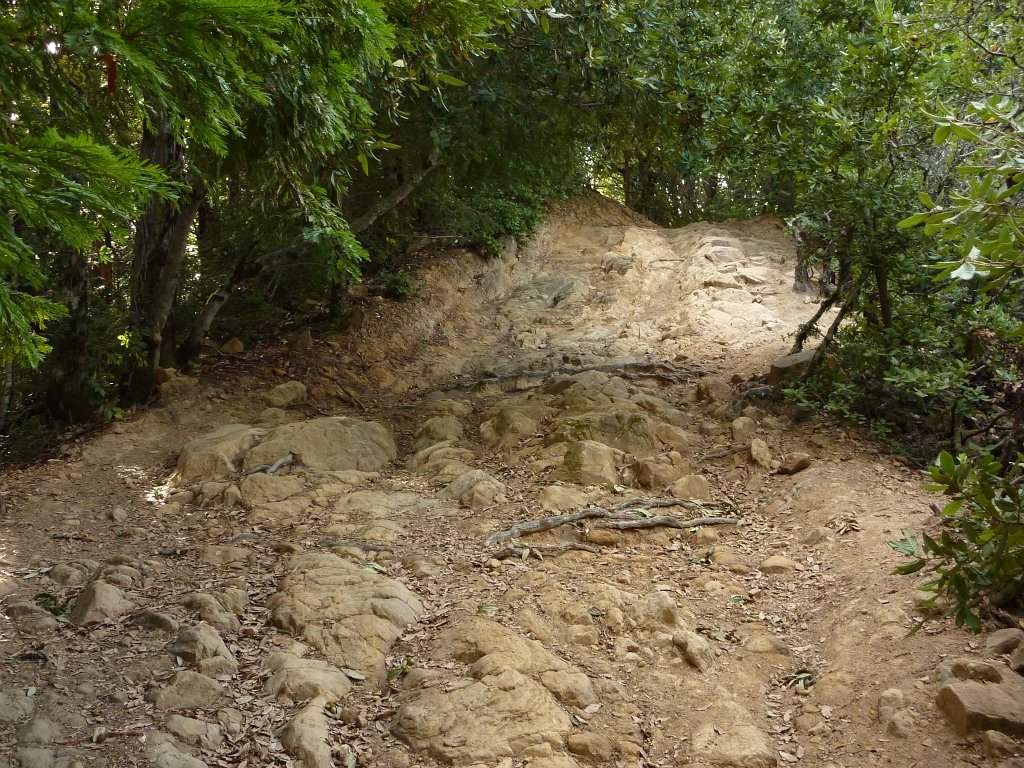 P1040292